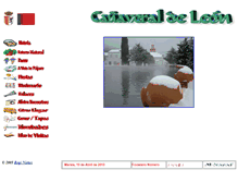 Tablet Screenshot of canaveraldeleon.org